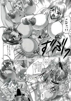 Page 14 of Shin Hanzuuryouku 27