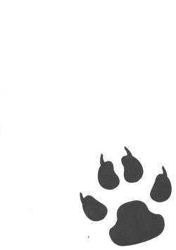 Page 4 of Wanko no Tadashii Shitsuke Kata