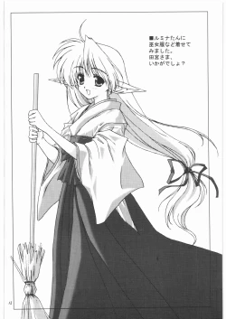 Page 13 of Lumina Makes Revolution