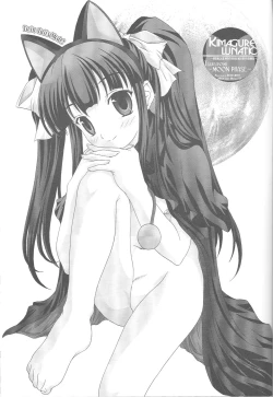 Page 2 of Kimagure Lunatic