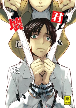 Page 1 of Kimi o Kowashi Tai