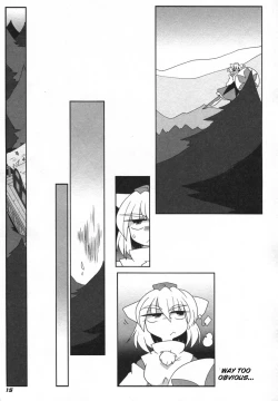 Page 17 of TOHO N+ 81 AIN