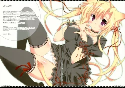 Page 13 of Nekopankaraira