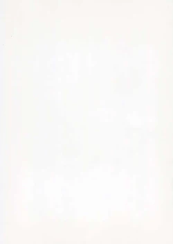 Page 2 of Fukushuu? Sareru Cirno