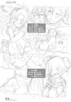 Page 4 of PARA PARA 3 MARUARAI OFFICIAL ART COLLECTION