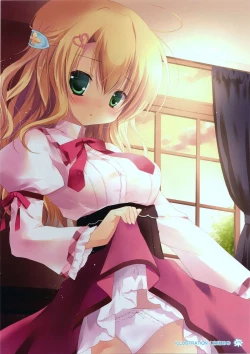 Page 17 of Yumekoi Visual Book