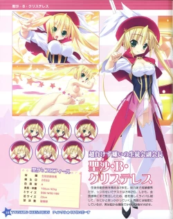 Page 10 of TECH GIAN Super Prelude twinkle crusaders with DVD-Rom