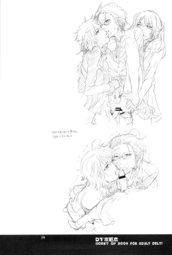 Page 28 of DT Kouryakuhon