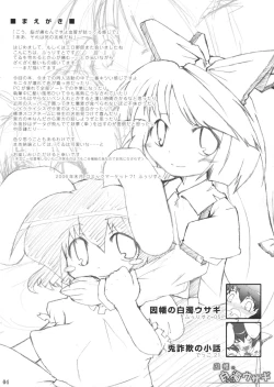 Page 3 of Inaba no Shiro Usagi