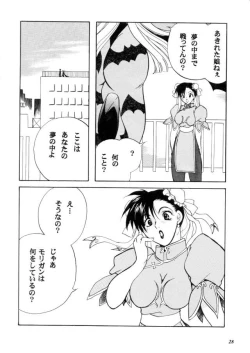 Page 29 of MODEL CAPCOM