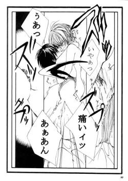 Page 81 of MODEL CAPCOM