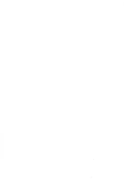 Page 234 of Koi wa Miracle! v01