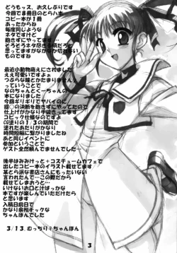 Page 3 of Magical Girl H Nanoha