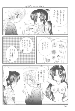 Page 29 of Seiryou