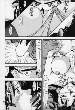 Page 22 of Cameleon Technology Ver. 1