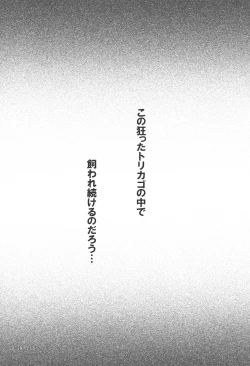 Page 28 of Bird Cage