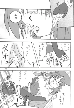 Page 34 of Bird Cage