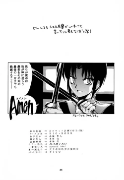 Page 33 of Tsuki Rocket Keikaku ～ Arcueid no Chousen ～
