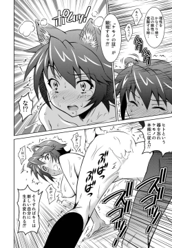 Page 13 of Kemomimimusume