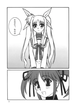 Page 13 of Nanoha no Hon