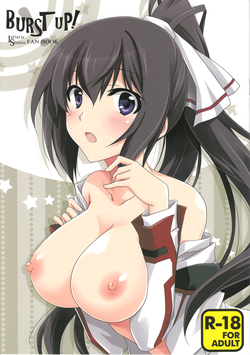 Download Burst Up！Infinite Stratos FAN BOOK