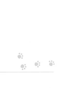 Page 2 of Wanwano Days