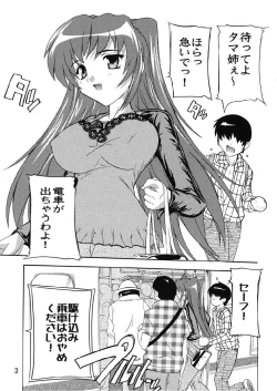 Page 3 of Chikan Otoko R Tama-nee