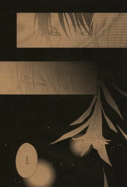 Page 17 of Yoru no Kirei