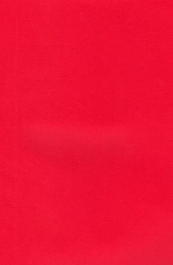 Page 8 of Evangelium Aeternitatis Eien no Fukuinsho i-ii + Omakebon