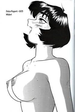 Page 28 of Dulce Report 1