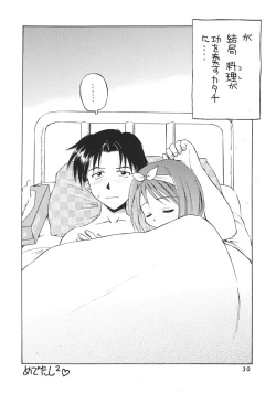 Page 29 of Wasshoi Wasshoi ToHeart