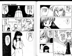 Page 11 of Lunatic Night 3