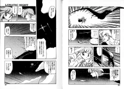 Page 45 of Lunatic Night 3