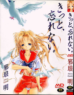 Download Kitto, Wasurenai.