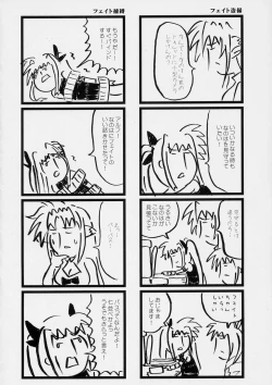 Page 19 of NanoFei. Excelion!