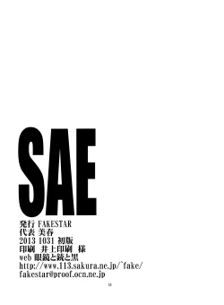 Page 18 of Sae