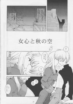 Page 17 of Hoshifuri Teien