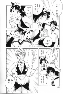 Page 88 of Maidroid Yukinojoh Vol.2