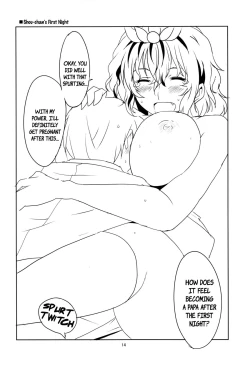 Page 15 of Touhou Newly-Weds' First Night