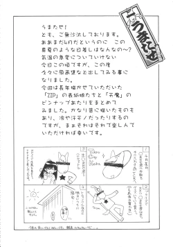 Page 4 of Ramiya Ryou Illustration Gengashuu 4