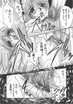 Page 13 of Hachido Nanabu no Koufukuron