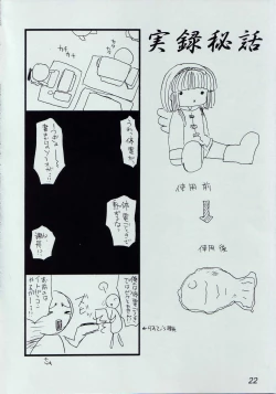 Page 21 of disguise TYPE-A