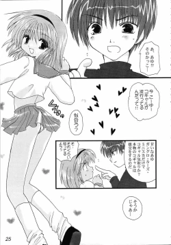 Page 24 of disguise TYPE-A