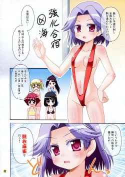 Page 2 of Super Tsuruga Majong