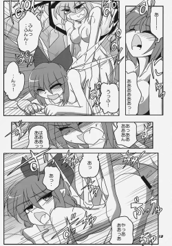 Page 16 of TOHO N+ FCR