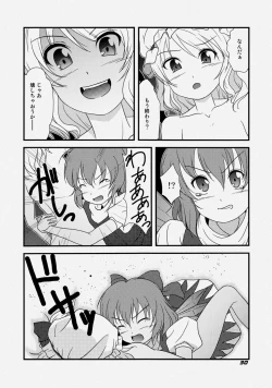 Page 33 of TOHO N+ FCR