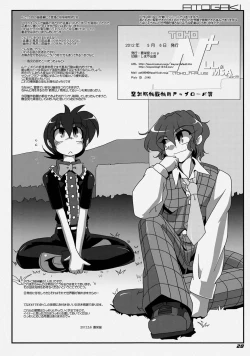 Page 28 of TOHO N+ LL&MSA Type-R