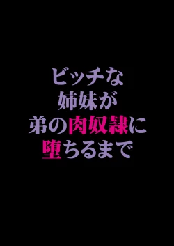Page 29 of Bitch na Shimai ga Otouto no Niku Dorei ni Ochiru Made 01