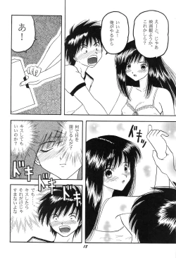 Page 17 of HOHETO 29