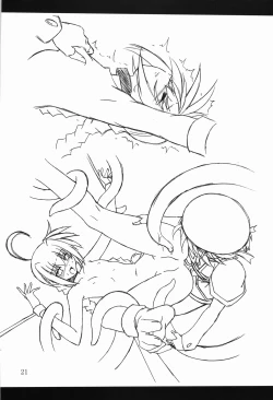 Page 20 of Vita no Hon | Vita Book